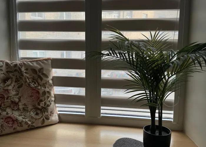 Modern Centre 公寓 维尔纽斯